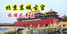 烧逼自慰大鸡巴好大干烂小穴网站中国北京-东城古宫旅游风景区