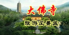 免费大鸡巴操美女逼中国浙江-新昌大佛寺旅游风景区